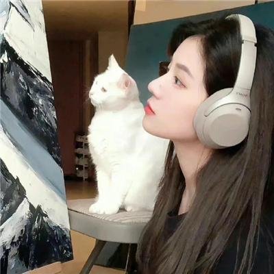 完美隐藏